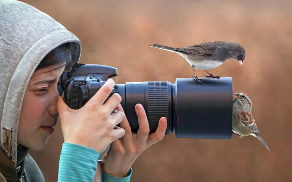 melhor câmera para fotografar aves